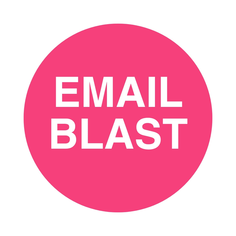 White square with hot pink circle in the middle with the title 'Email Blast'